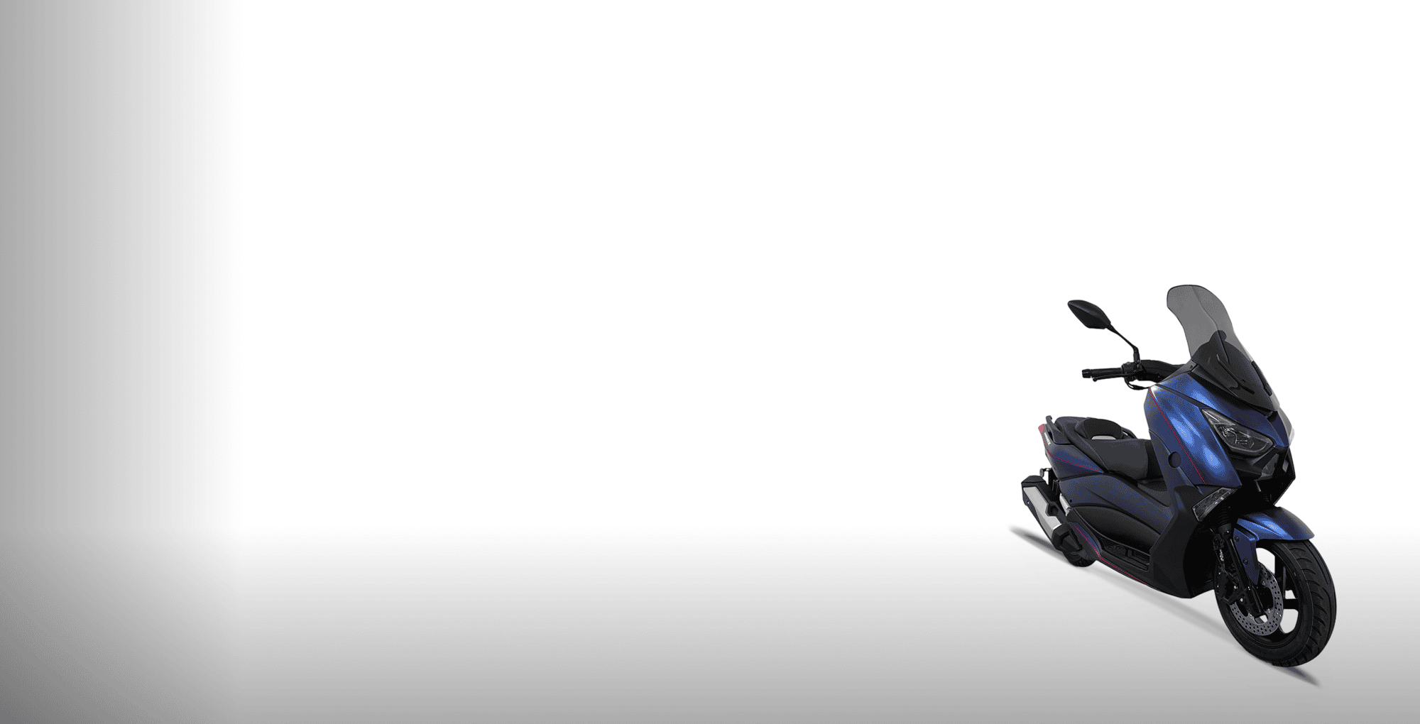 FX 300 EFI FX 300 EFI