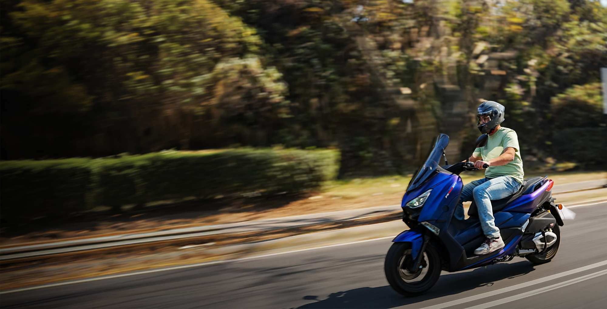 FX 300 EFI FX 300 EFI