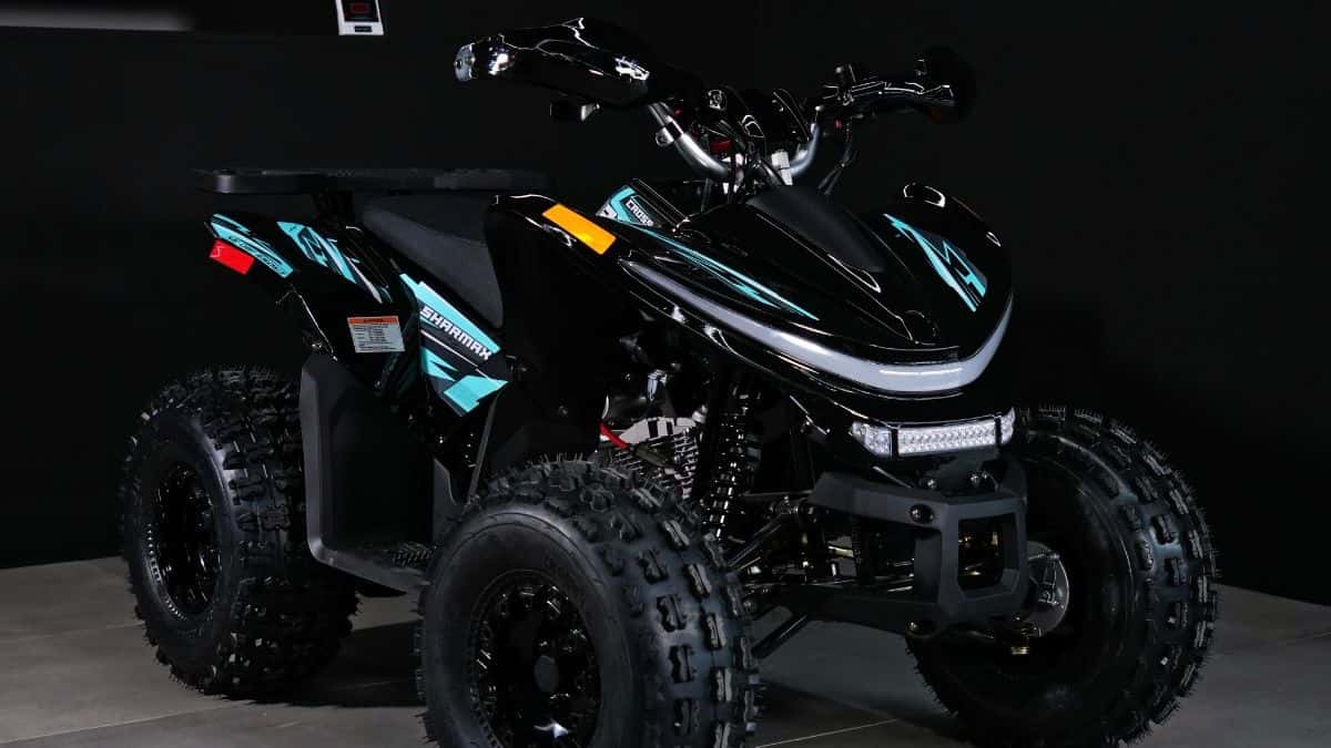 Cuatrimoto 125 vs 300 para familia y trabajo real