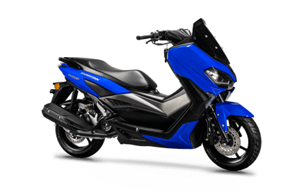 صورة MAXI SCOOTER FX 200 03