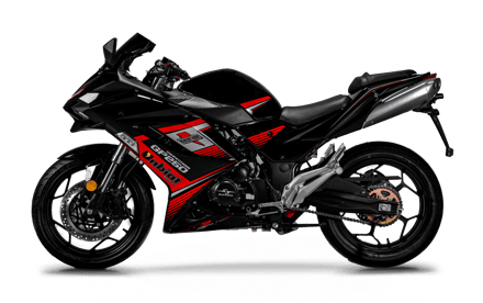 صورة SUPER SPORT GP 250 COMPETITION 02