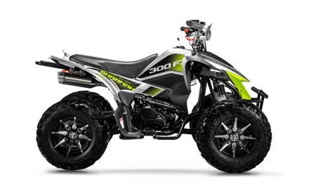 Foto de Cruiser 300 FJ 01