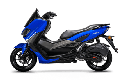 صورة MAXI SCOOTER FX 200 02