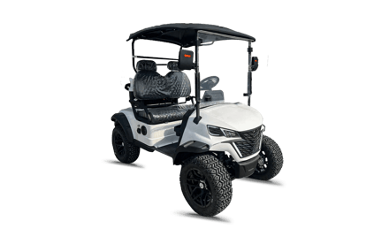 صورة GOLF CART 4000 2-SEATER 01