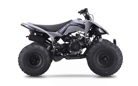 صورة Raizer 250 Race Cup 01