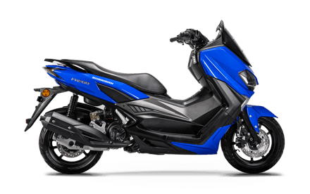 صورة MAXI SCOOTER FX 200 01