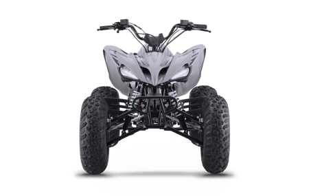 Raizer 250 Race Cup image 04