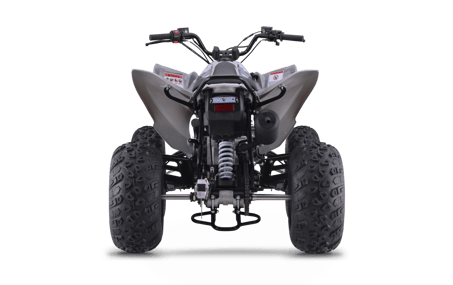 Raizer 250 Race Cup image 05