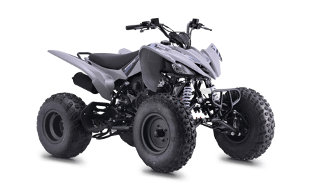 Raizer 250 Race Cup image 03