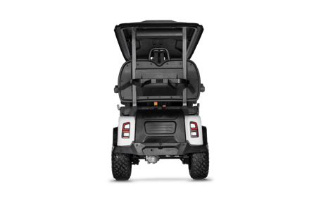 Foto de 5000 4 Seater Pro 04