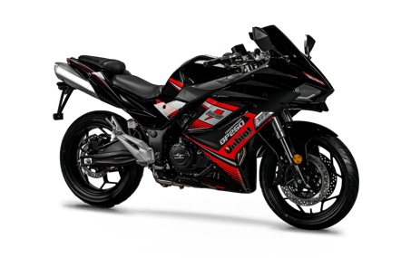صورة SUPER SPORT GP 250 COMPETITION 03