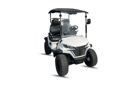 صورة GOLF CART 4000 2-SEATER 02