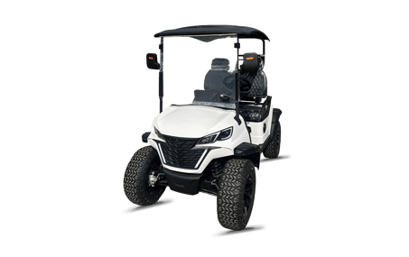 صورة GOLF CART 4000 2-SEATER 03