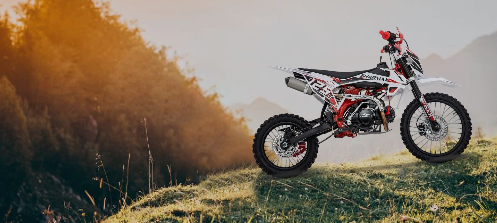 Power Max 125 2022