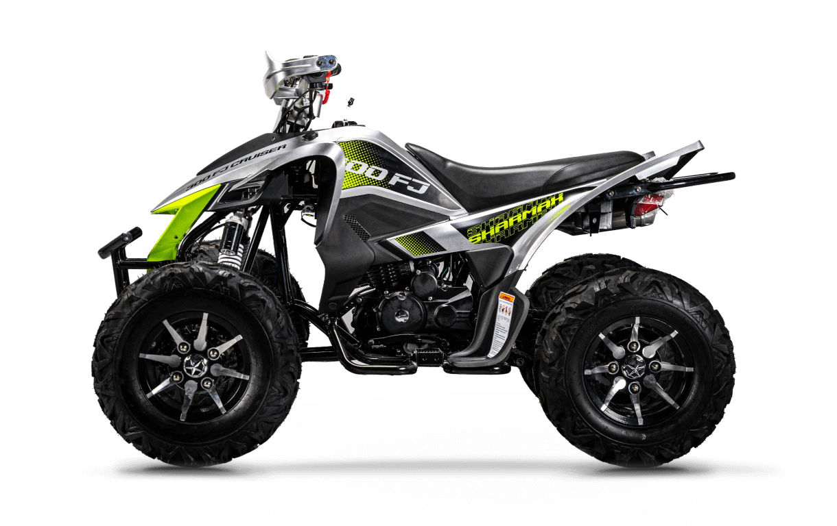 Foto de Cruiser 300 FJ 02