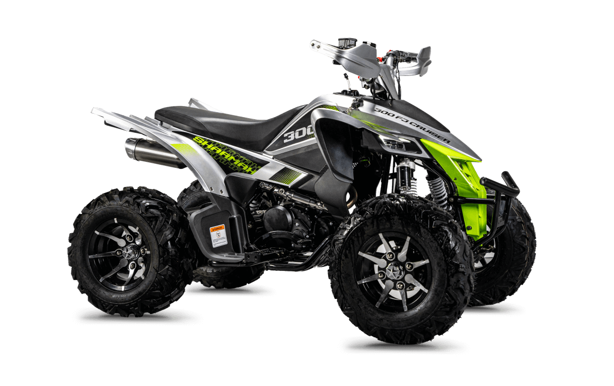 Foto de Cruiser 300 FJ 03