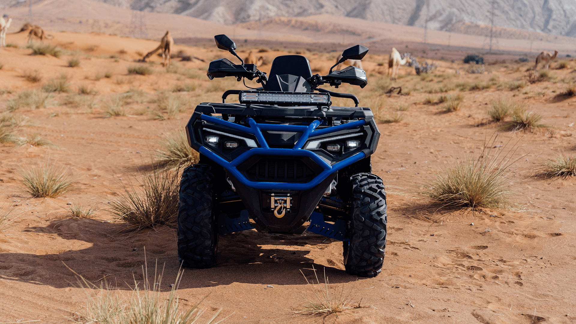 Foto de Force 650 EFI EPS 02