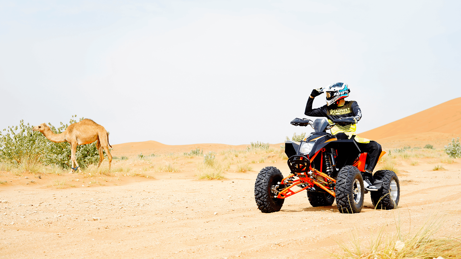 Foto de Cruiser Race 550 GX 05