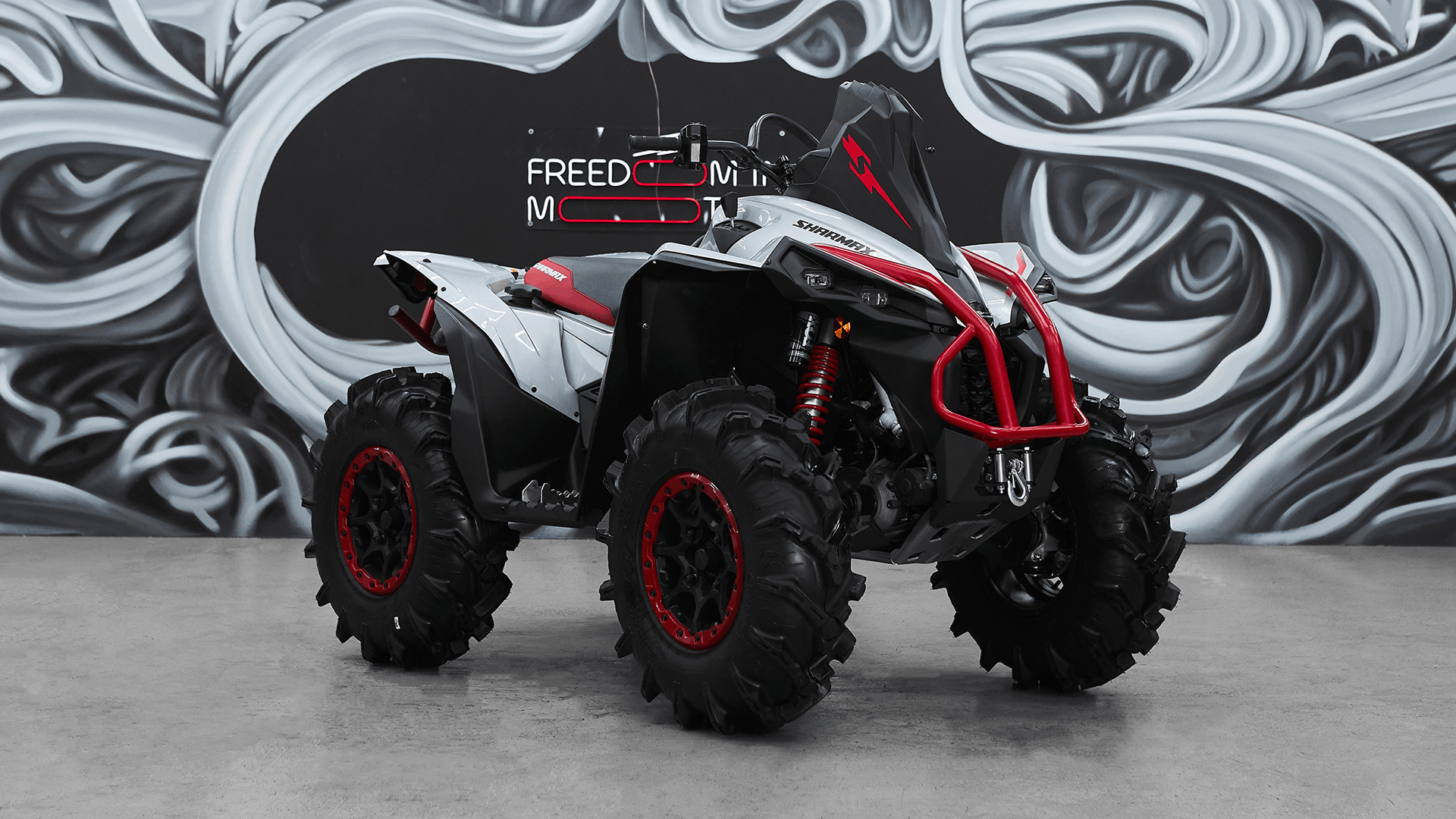 Foto de Spyder 1100 04