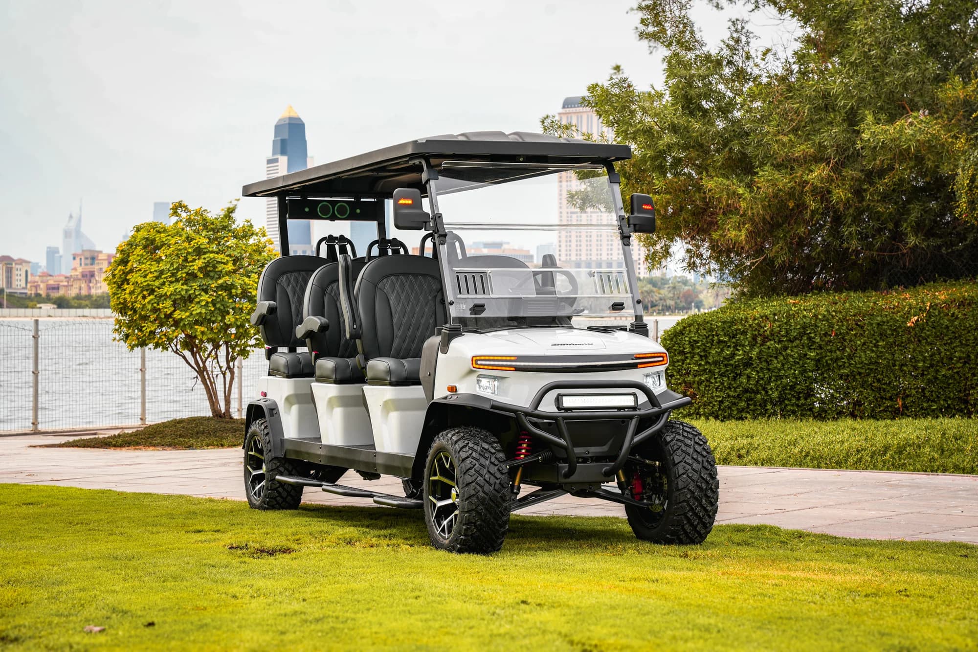 Foto de 5000 6 Seater Pro 01