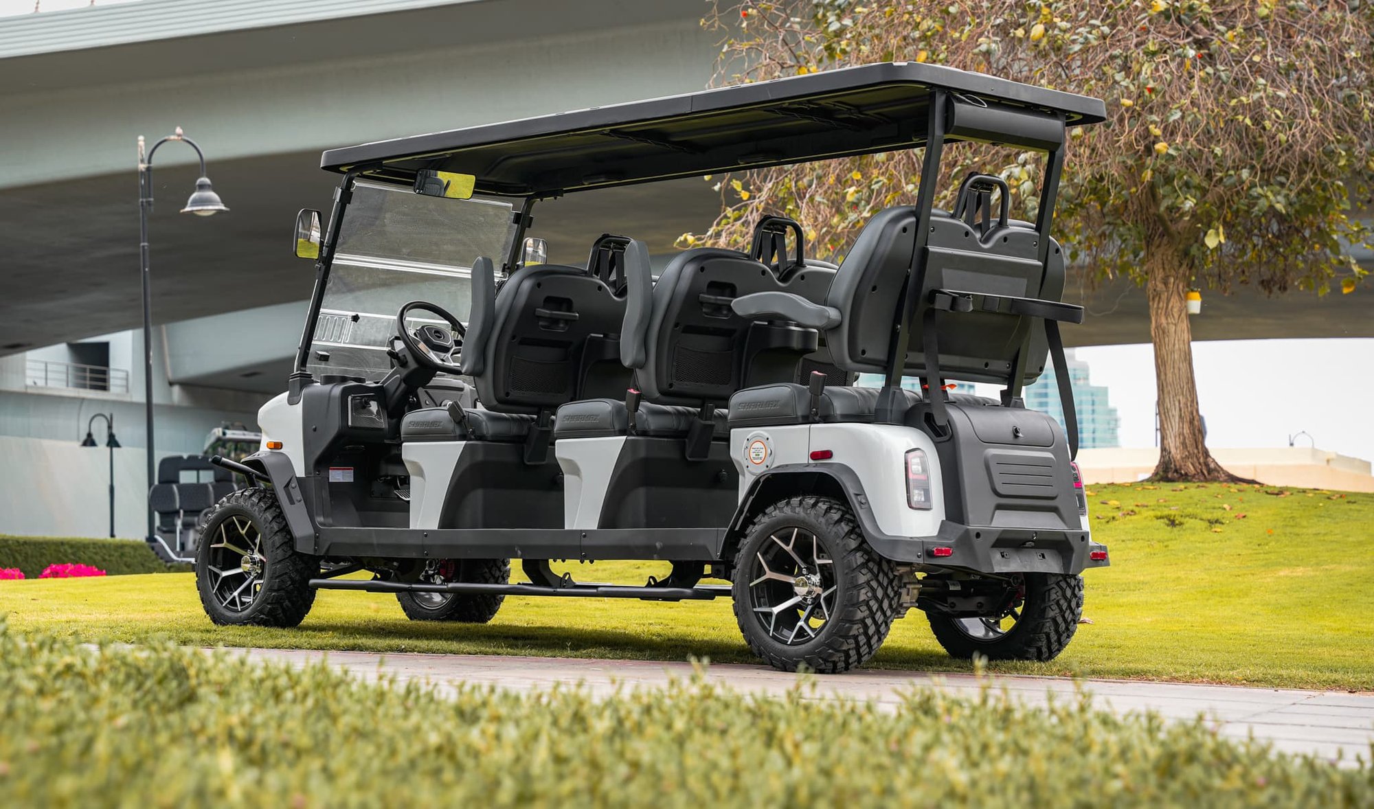 Foto de 5000 6 Seater Pro 02