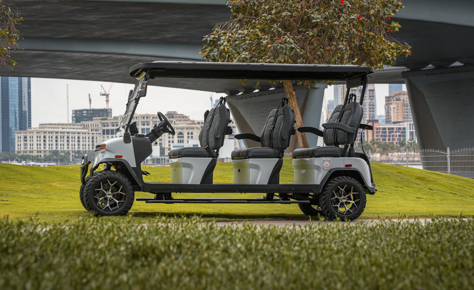 Foto de 5000 6 Seater Pro 03