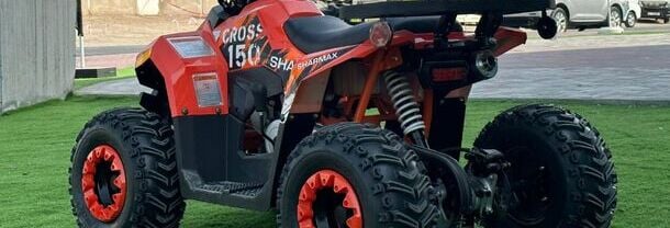 Automatically stops the vehicle to ensure safety if kids lose balance or control