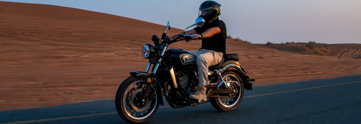 Dual Rear Suspension