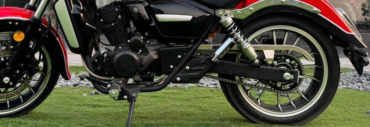 Dual Rear Suspension