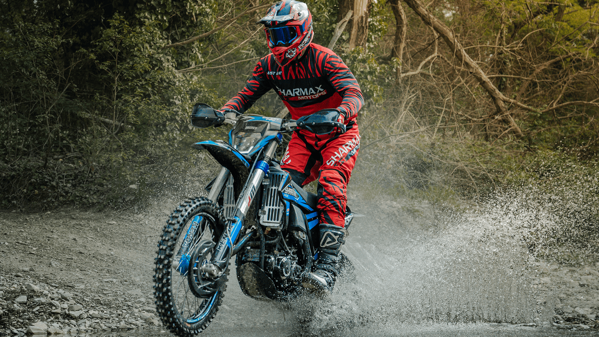 صورة EXPERT PRO 320 06