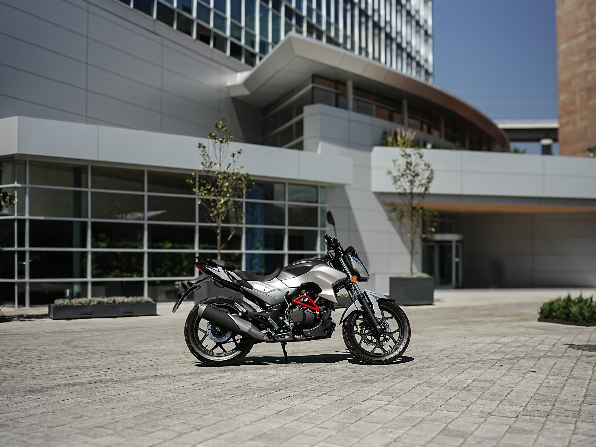 Street Bike 175 image 03 Street Bike 175 image 03