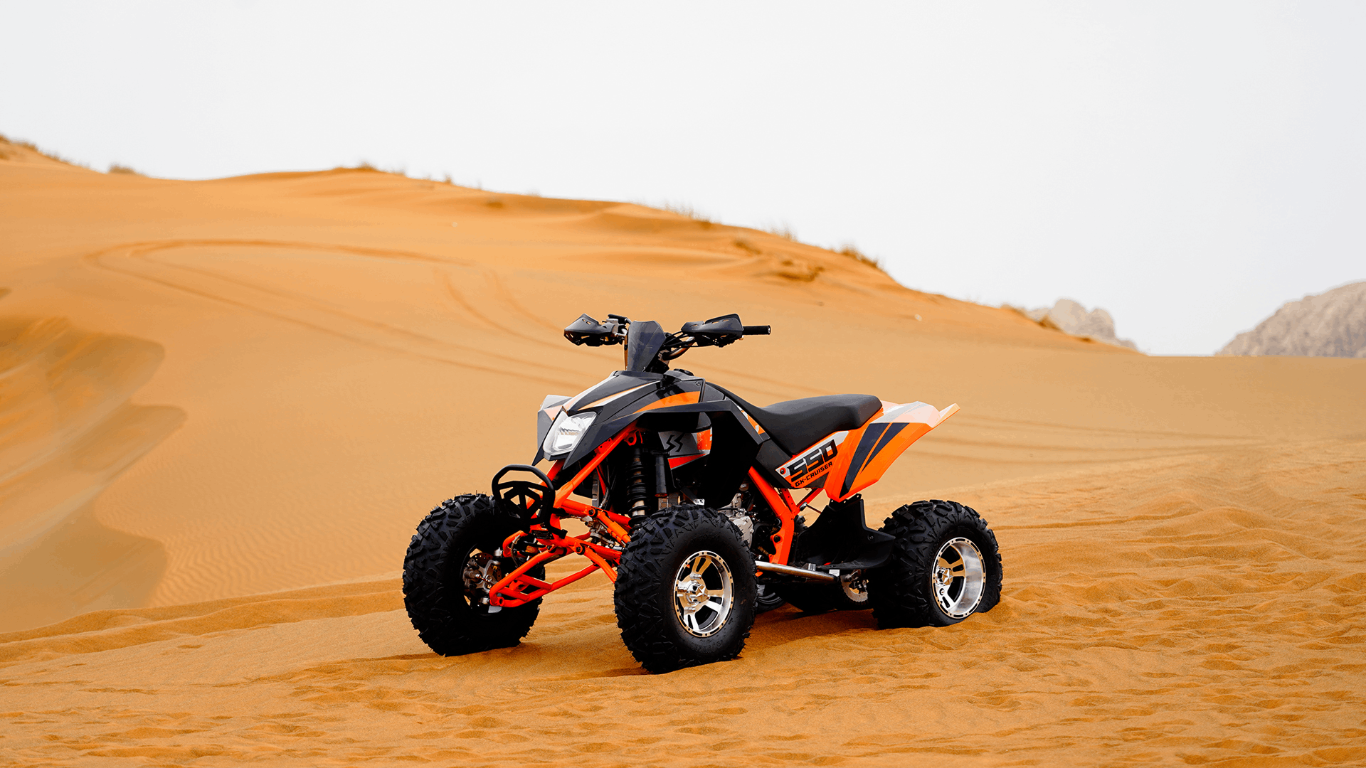 صورة 550 GX CRUISER 03