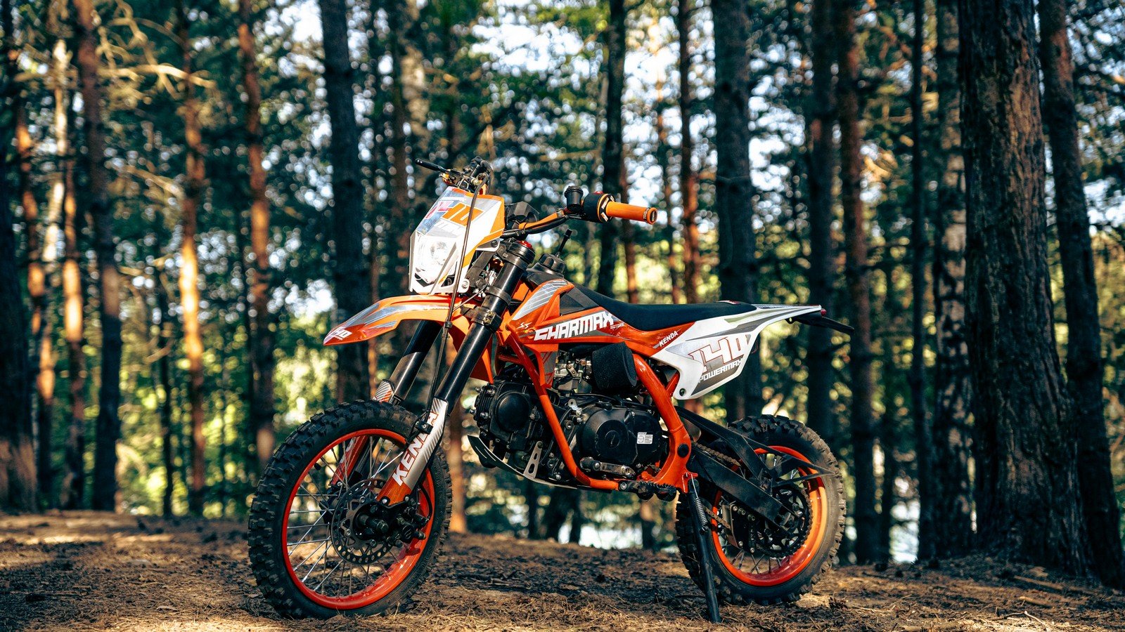 Moto cross 125 en México: precios reales y cómo dominarla desde cero
