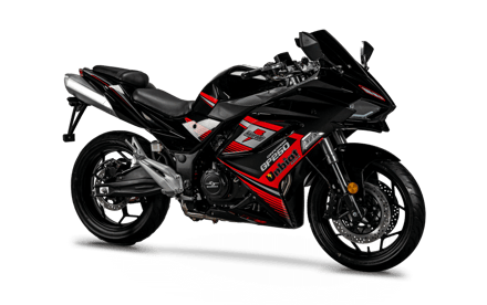 صورة SUPER SPORT GP 250 COMPETITION 03