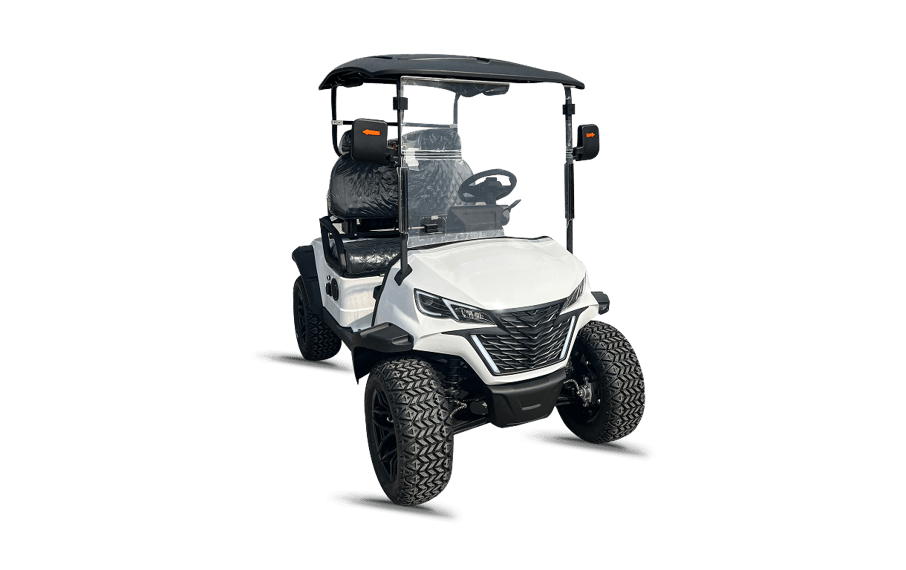 صورة GOLF CART 4000 2-SEATER 02