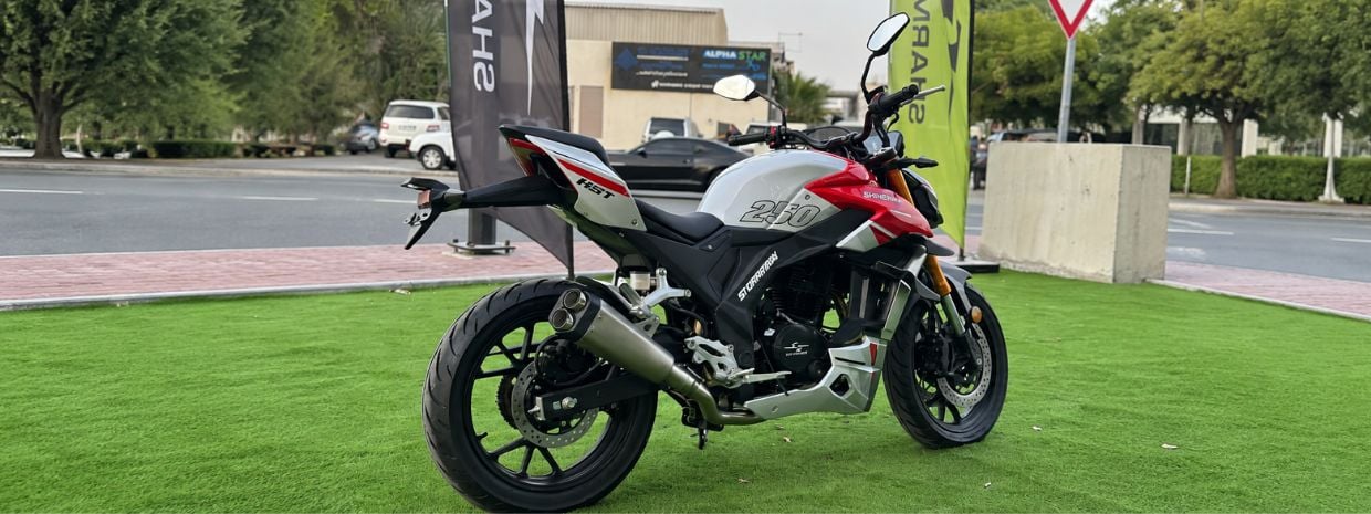 moto económica sobre césped verde,RST 250 Latina  