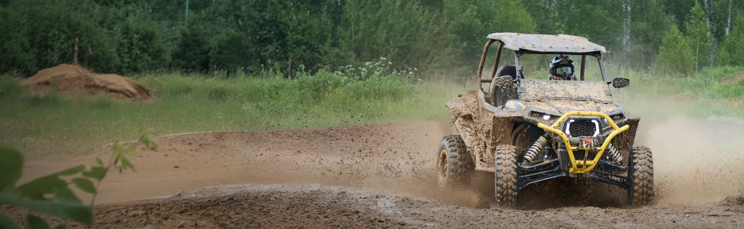 Buggy main banner image