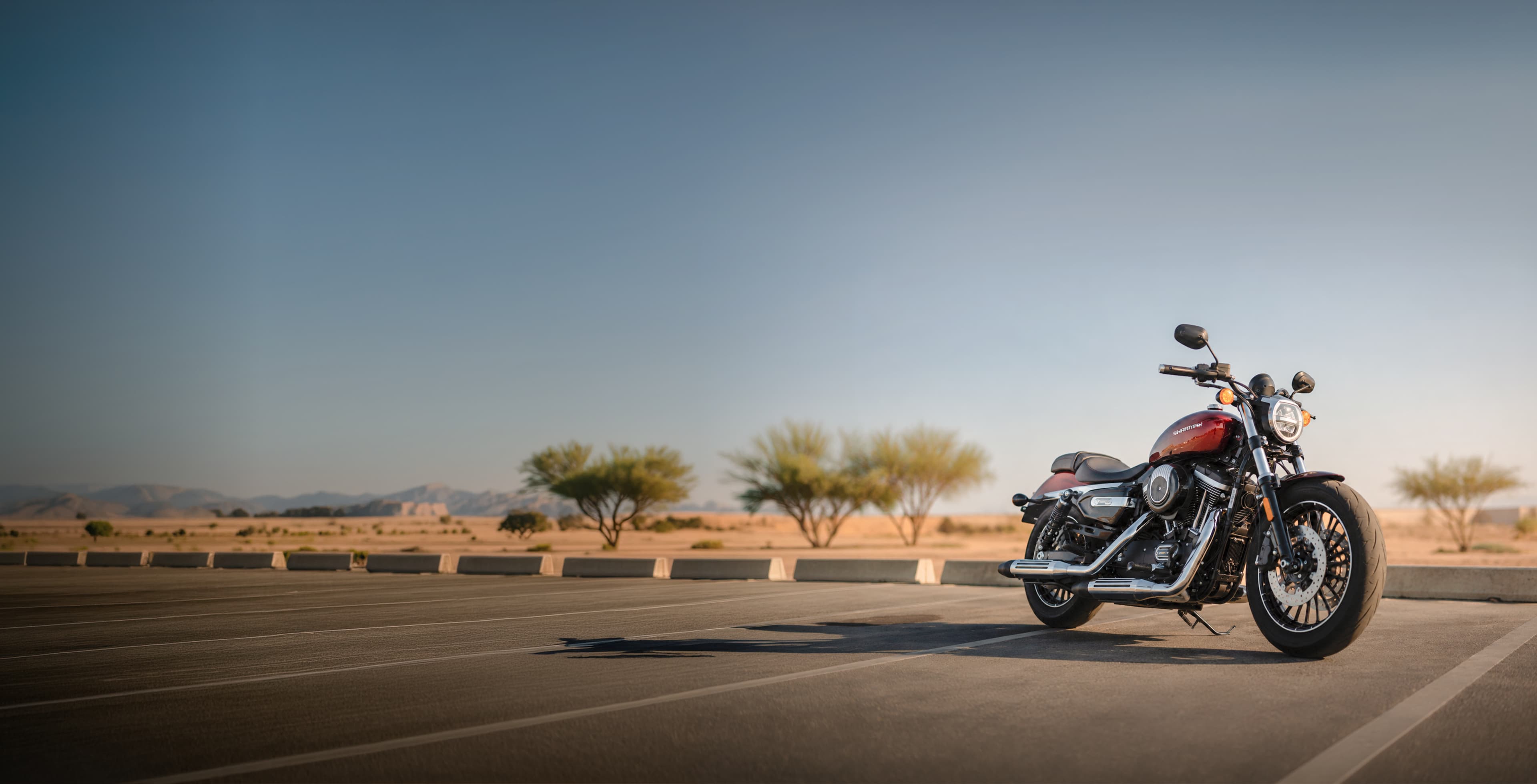 RR 1390 Black Star RR 1390 Black Star