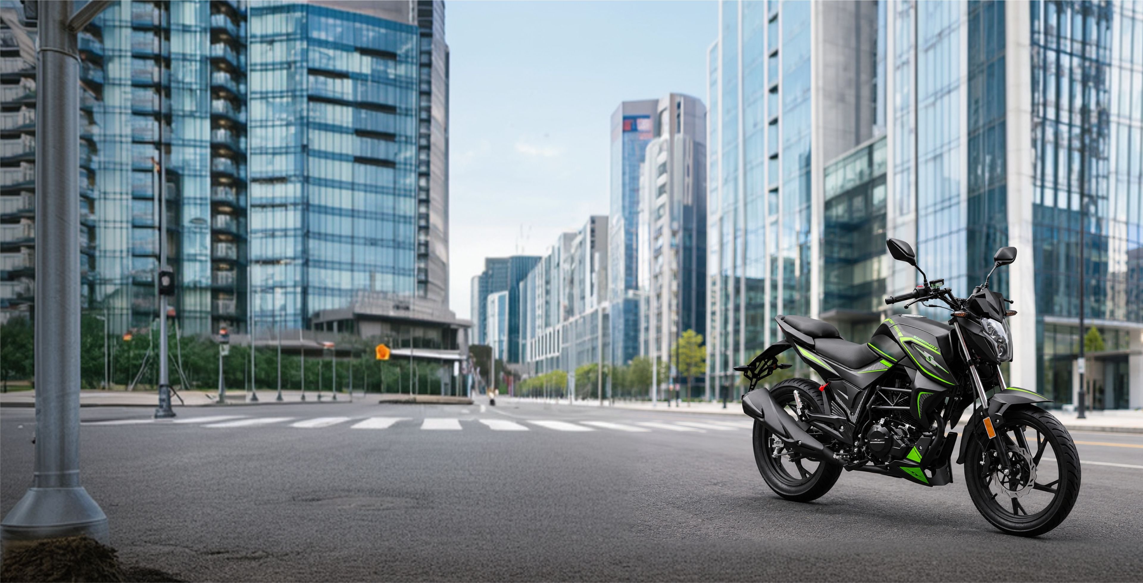NAKED BIKE RST 250